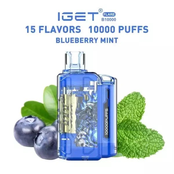 IGET FLARE B10000 – Blueberry Mint in Gurgaon