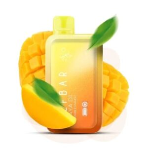 Elfbar RAYA D1 Double Mango in Gurgaon